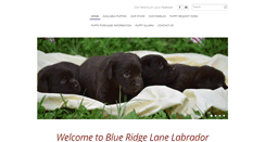 Desktop Screenshot of blueridgelanelabradors.com