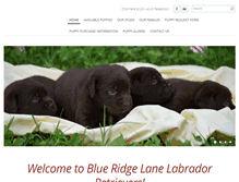 Tablet Screenshot of blueridgelanelabradors.com